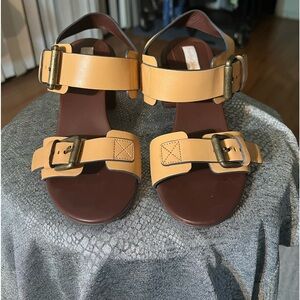 See By Chloe womens leather buckled sandals